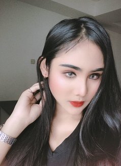 Lily New Ladyboy - puta in Al Sohar Photo 15 of 15