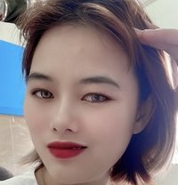 Lily (New) - escort in Doha