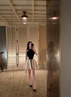 Lily Nora - High End Asian Companion - escort in Hong Kong Photo 17 of 20