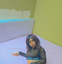 Lily - escort in Riyadh