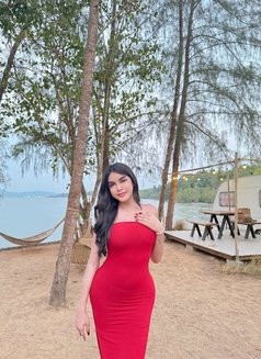 Lily TH Both 🇹🇭🇧🇭 - Transsexual escort in Al Manama Photo 3 of 11
