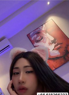 Lily - Transsexual escort in Riyadh Photo 11 of 12