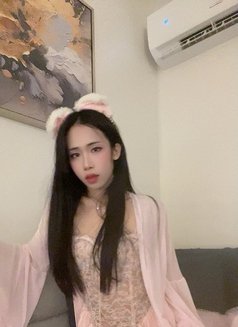 Lily - Transsexual escort in Riyadh Photo 12 of 13