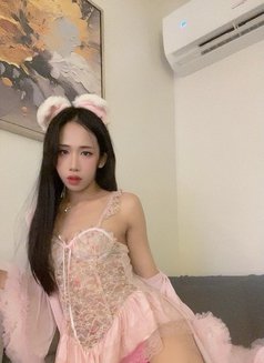 Lily - Transsexual escort in Riyadh Photo 13 of 13