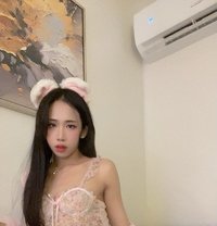 Lily - Transsexual escort in Riyadh