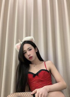 Lily - Transsexual escort in Jeddah Photo 12 of 13