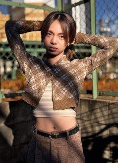 Lily Vaughen - Transsexual escort in Nagoya Photo 16 of 26