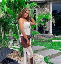 Lima - escort in Chennai