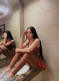 SweetGirl Sofia Kang 🇲🇾(BEST REVIEWS) - escort in Taipei Photo 27 of 30
