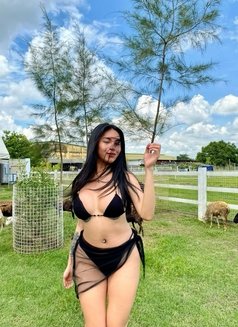 LET’S FULFILL YOUR FANTASY🥀 - Transsexual escort in Manila Photo 22 of 26