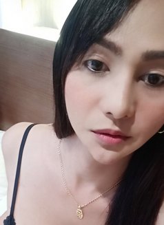 Ts Katrina from the philippines - Transsexual escort in Bangkok Photo 3 of 12