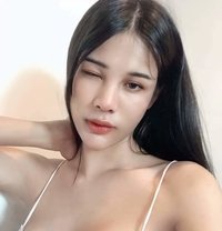 Lin Bangkok - Transsexual escort in Bangkok