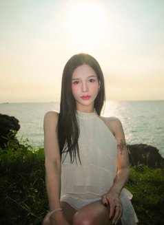 Lin Lin - Transsexual escort in Kaohsiung Photo 11 of 13