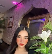Lin Ly Ladyboy - Transsexual escort in Dubai
