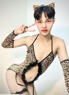 Lin Malin top big🇹🇭 - Transsexual escort in Doha Photo 1 of 6