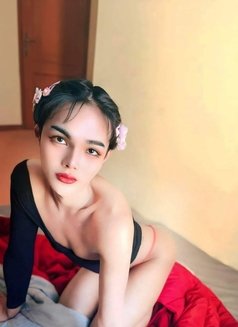 Lin Malin top big🇹🇭 - Transsexual escort in Doha Photo 5 of 6