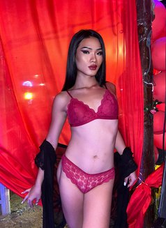 Lin Sexy Lady Boy - Transsexual adult performer in Ko Samui Photo 6 of 8