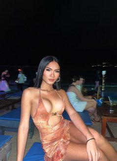 Lin Sexy Lady Boy - Transsexual adult performer in Ko Samui Photo 11 of 11