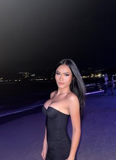 Lin Sexy Lady Boy - Transsexual adult performer in Ko Samui Photo 14 of 16