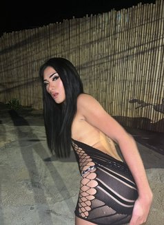 Lin Sexy Lady Boy - Transsexual adult performer in  Koh Phangan Photo 2 of 6