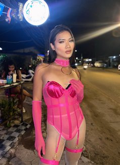 Lin Sexy Lady Boy - Transsexual adult performer in  Koh Phangan Photo 4 of 6