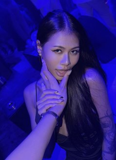 Lin - escort in Phuket Photo 10 of 10