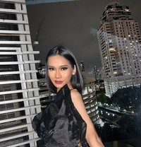 Lin - Transsexual escort in Bangkok