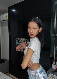 Lin - Acompañantes transexual in Bangkok Photo 2 of 12