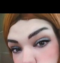 Lina Arab - Acompañantes transexual in Tunis