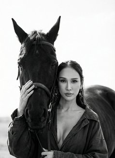 Lina - escort in Phuket Photo 5 of 12