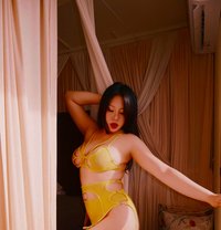 Lina🦋 - escort in Doha