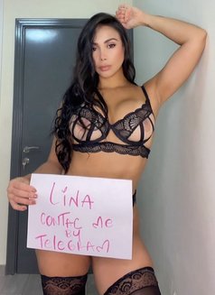 Lina Fullservice NEWTELEGRAM - puta in Dubai Photo 16 of 17