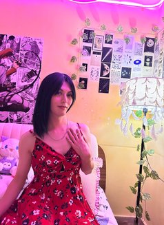 Lina - Transsexual escort agency in Bangalore Photo 11 of 14