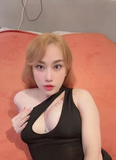 Lina new Dubai - escort in Dubai Photo 1 of 8