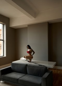 Lina Muse - puta in Dubai Photo 8 of 11