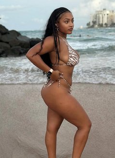 Lina - escort in Muscat Photo 3 of 3