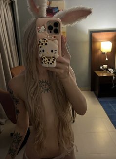 Lina Sweet Russiangirl(Full service) - puta in Dubai Photo 15 of 16