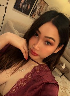 Lina T - puta in Riyadh Photo 10 of 10