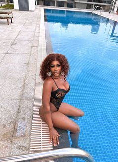 Lina - escort in Dubai Photo 6 of 6