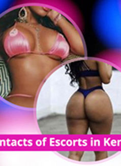 Nairobi escorts - Agencia de putas in Nairobi Photo 1 of 1