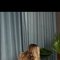 Linaxxx - escort in Beirut Photo 2 of 5