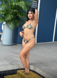 Linda anal 19 - Transsexual escort in Bangkok Photo 6 of 10