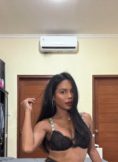 Linda - Transsexual companion in Bali Photo 1 of 10