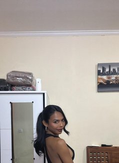 Linda - Transsexual companion in Bali Photo 3 of 10