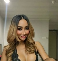 Party with me Busty and Sexy Linda - Transsexual escort in Kuala Lumpur