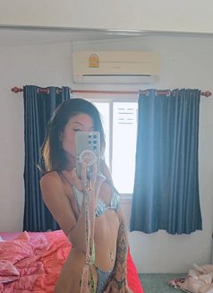 Linda Photo Model - escort in Bangkok Photo 24 of 27