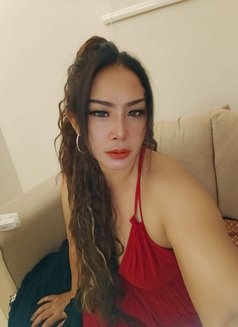 🇹🇭Sara New arrive 🇸🇦 - escort in Riyadh Photo 8 of 14