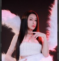 Linda - Transsexual escort in Dammam