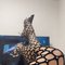 Linda - Acompañantes transexual in Dammam Photo 1 of 15