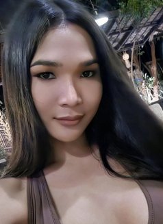 Lindy - Transsexual companion in Ko Samui Photo 5 of 7